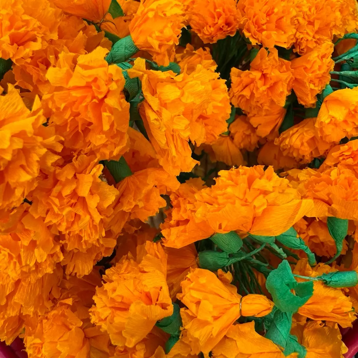 Mini Marigolds Flowers