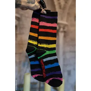 Creepy Crew Socks [Goth Rainbow Stripes]