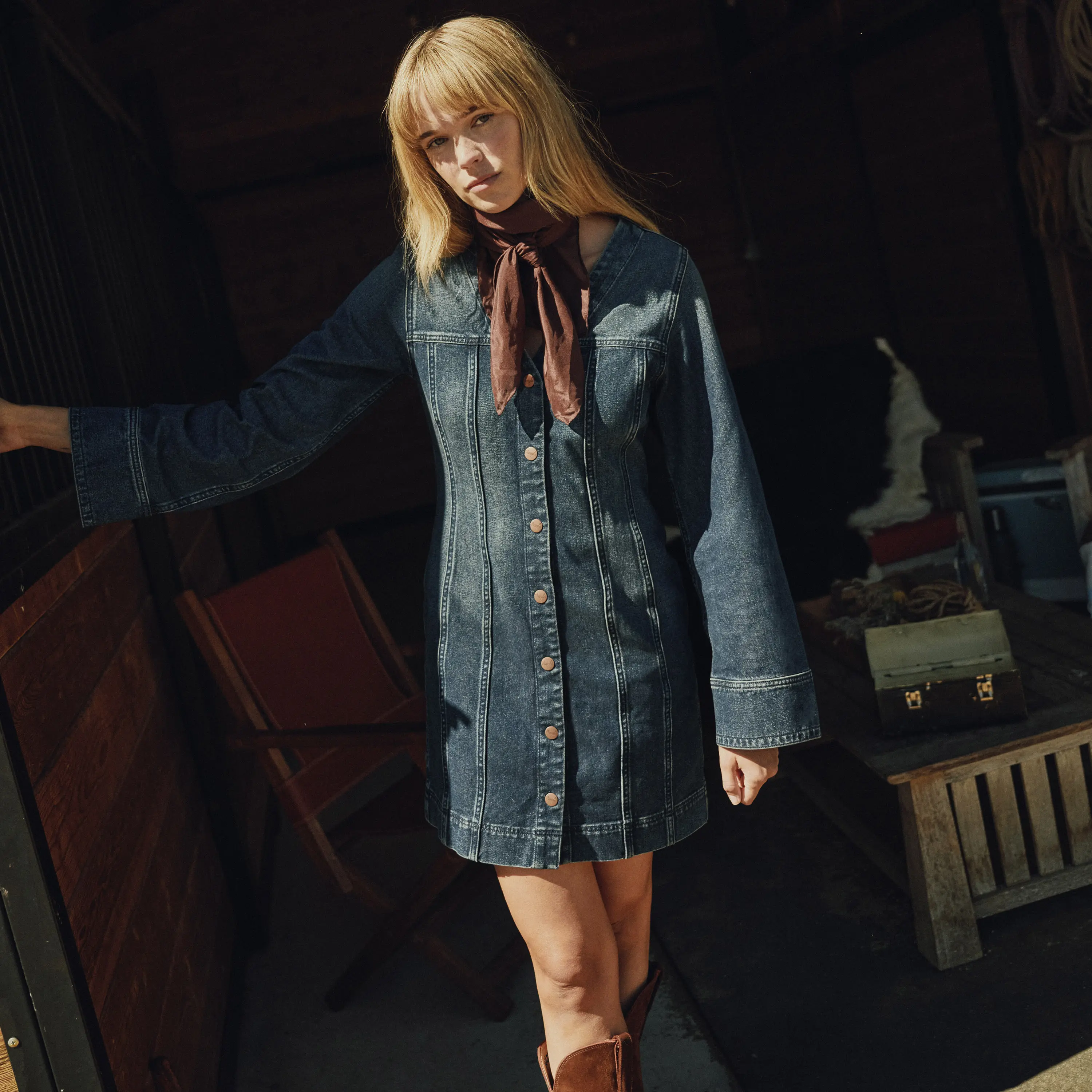 Women's Mod Denim Dress