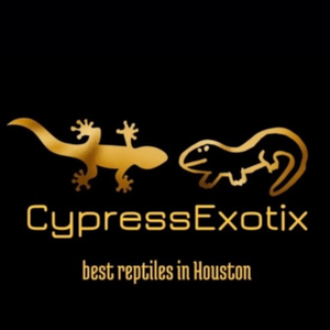 CE Reptiles and Printing