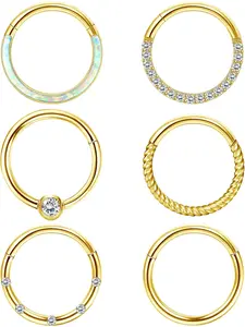 Septum Rings 16G 18G Surgical Steel Nose Rings Hoops for Women Seamless Clicker Hinged Segment Hoop Lip Nose Rings Conch Lip Helix Cartilage Earring Septum Jewelry Lip Nose Daith Hlix Piercing Jewelry 8MM 10MM 12MM