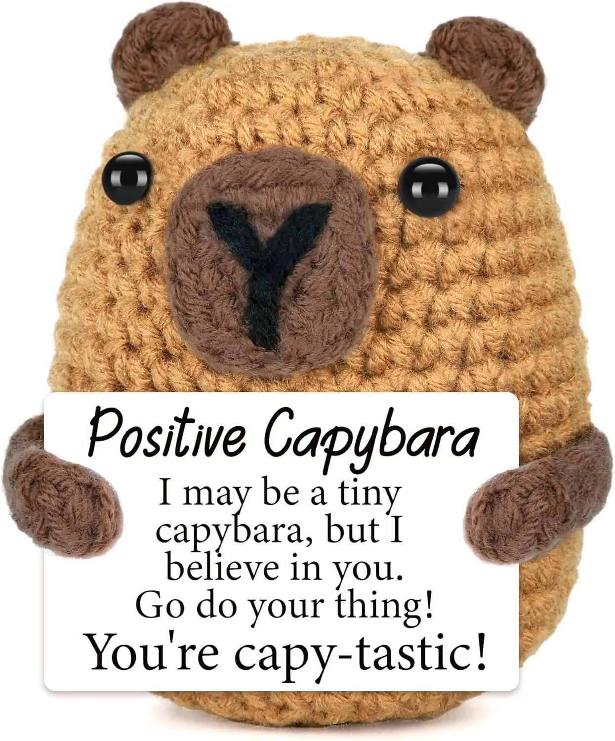 Small Knitted Capybara Stuffed Animal, Cotton & Wool Emotional Support Gift with Encouraging Card, Positive Message Cheer Up & Graduation Stuffed Animal Gifts for Friends