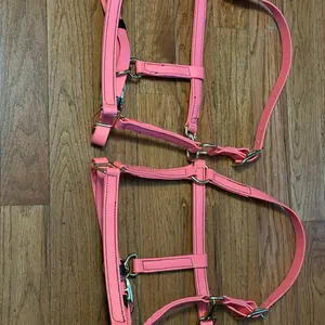 Biothane Pink Horse Halter with Metal Hardware and Adjustable Straps for Comfortable Fit