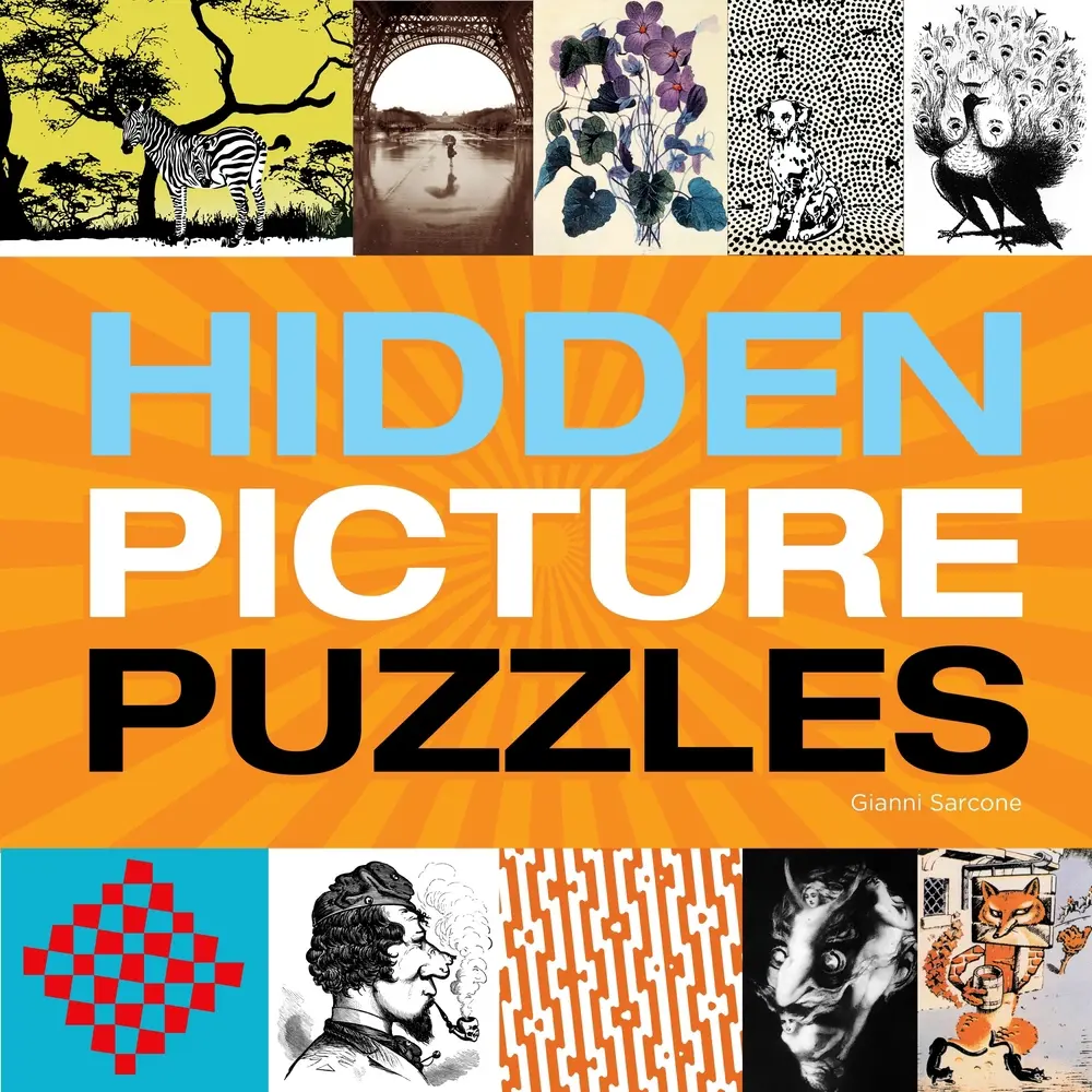 Used Hidden Picture Puzzles - Gianni Sarcone (Paperback, Literature Book, Books)