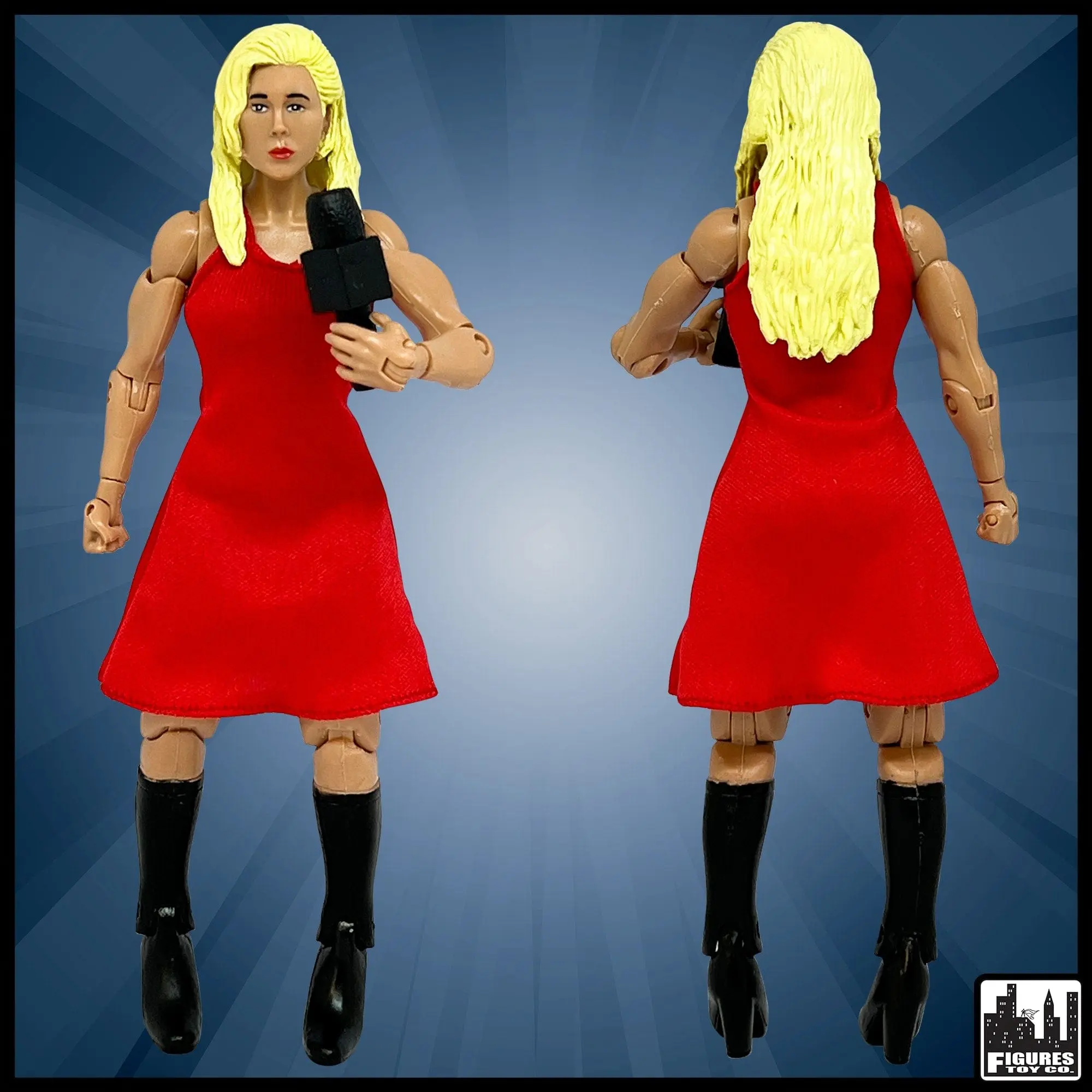 Female Interviewer for WWE Wrestling Action Figures Female Interviewer for WWE Wrestling Action Figures