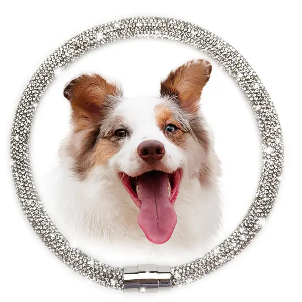 Elegant Sparkling Rhinestone Dog Collar - Premium Cotton Rope with Premium Craft, Magnetic Closure, Easy Wear Comfort for Small Breed Girl Puppies, Weddings, Photoshoots Pet Collars Accessory, Super Sparkly Bling