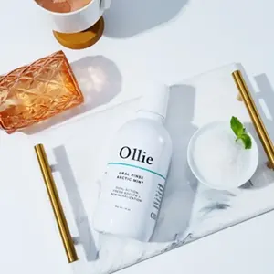 Ollie Arctic Mint Lasting Freshness