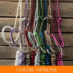 Lariat Mule Tape Halters - Assorted Double Colors-