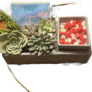 Strawberry shortcake wax dots