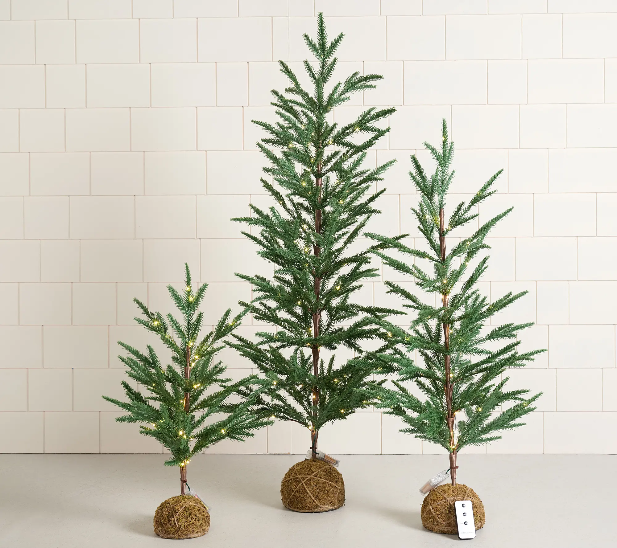 Presley Pierce S/3 Illuminated Moss Ball Trees