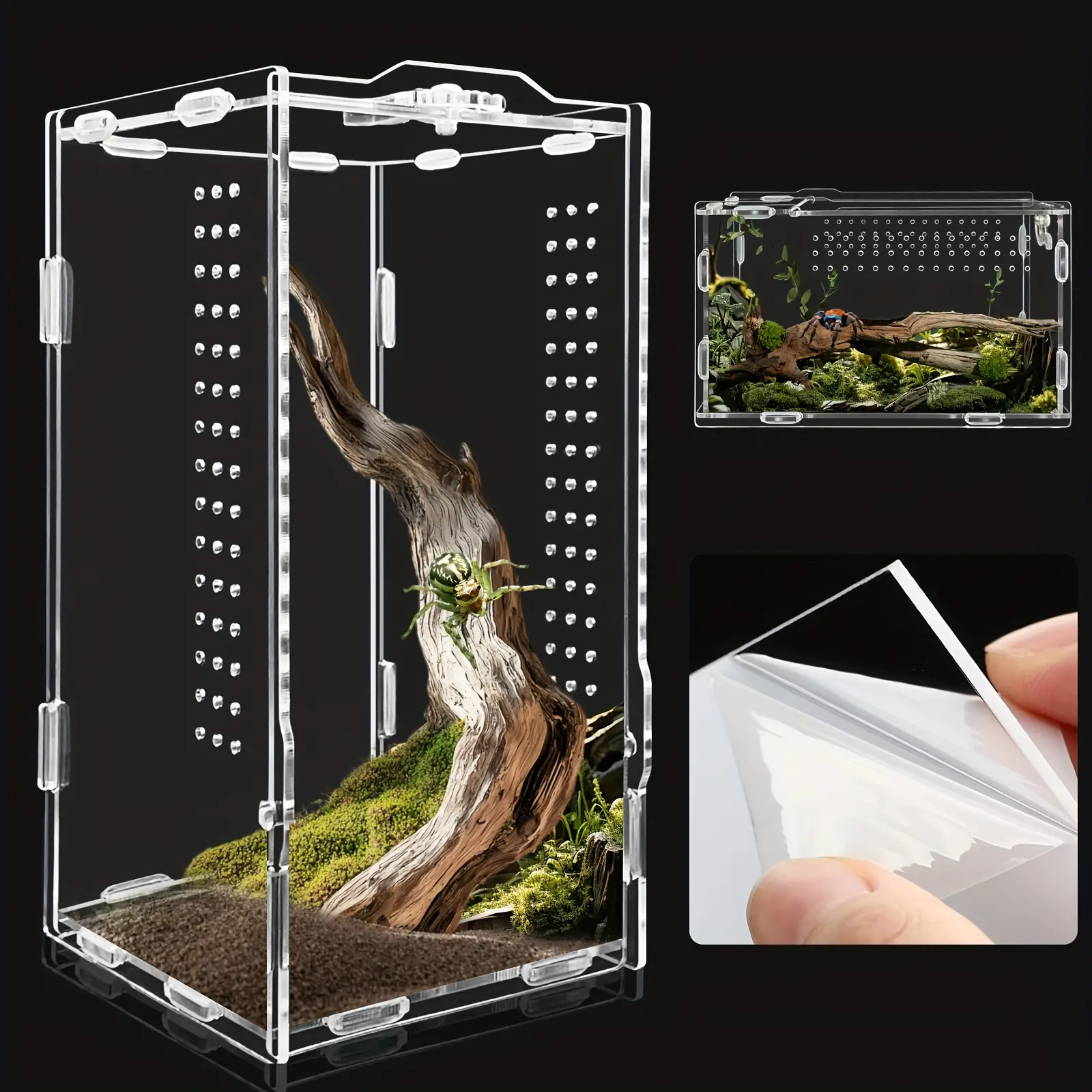 Acrylic Rectangular Enclosed Reptile Terrariums - Dual-Size Enclosures (4x4x8in, 8x8x16in) for Jumping Spiders, Reptiles - Self-Hatching Terrariums & Shipping Supplies