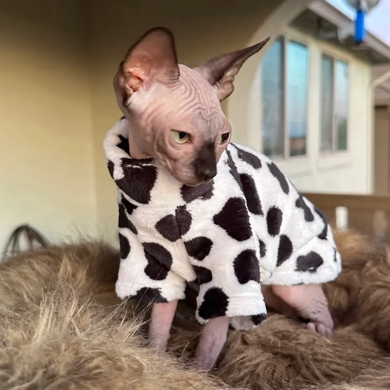 Cow print animal pattern Sphynx cat sweater for pet clothing