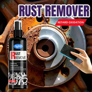 Rust Remover Spray for Metal, Powerful Rust Remover Heavy Duty Metal Cleaner, Multipurpose Rust Stain Remover for Metal, Stainless Steel, Automotive Parts, Fast Acting (1PCS)