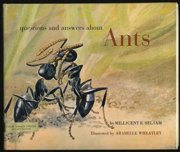 USED-Questions and Answers About Ants by SELSAM. Millicent E. (Hardcover)