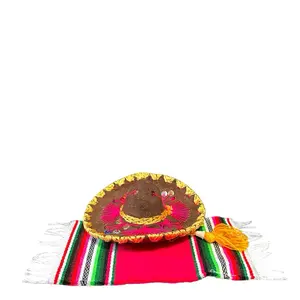 Mini Mariachi Sombrero & Sarape Set