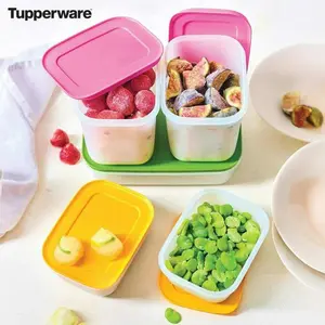 Tupperware FreezerMates Stackable Plastic Containers with Reusable Silicone Lids Airtight Flexible Storage for Meal Prep and Organization