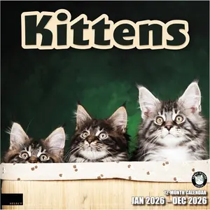 Select - Kittens 2026 Wall Calendar 12 Month | 12" x 24" Open | Thick & Sturdy Paper | Giftable | Cute Kitten  Calendar 2026