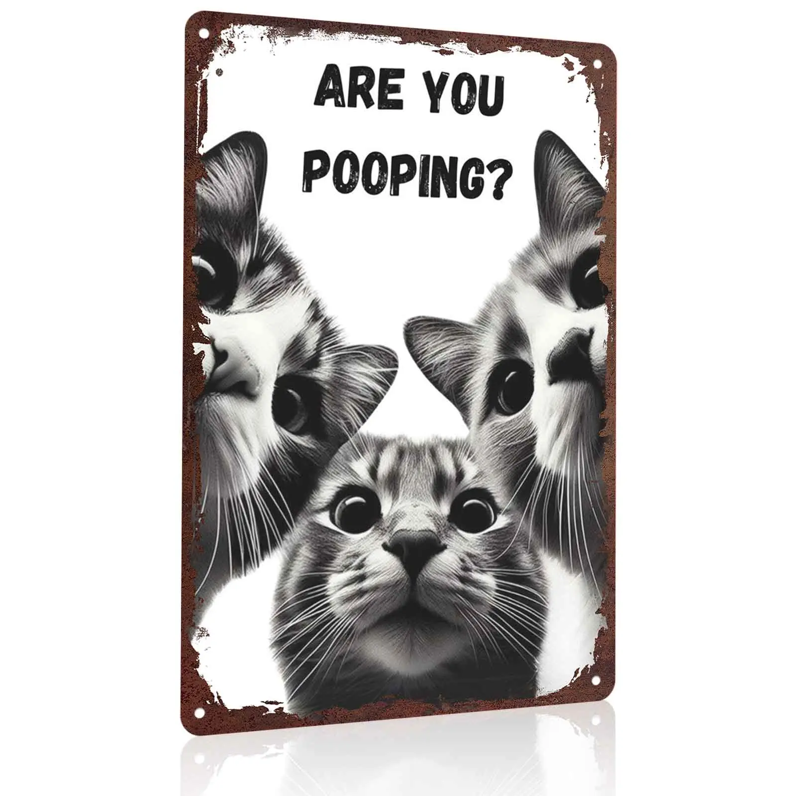 Are You Pooping? 3 Tabby Cats 12x8 Inch Aluminum Metal Sign - Funny Cat Lover Wall Decor for Bathroom, Restroom, Powder Room - Retro Tin Sign Gift for Cat Parents & Pet Owners
