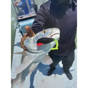 1/8oz Weedless Jig Heads