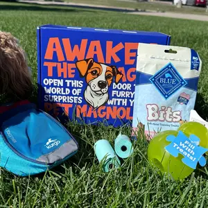 Training Box for Dogs - Perfect for Training and Exercise