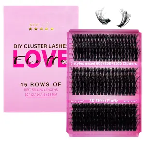 Cluster Lash Kit, 1 Box Mixed Length & Styles Natural Look Eyelash Extensions, Self Grafting Curl Eyelashes, Eye Makeup Enhancement, Eyelash Clusters, Hybrid Lash Set, Diy False Eyelashes, Puff Lash Clusters, Pink, Individual Cluster Lash