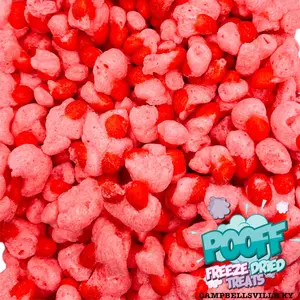 Freeze Dried Cinnamon Hot Pooff