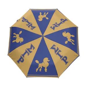 BBGreek Sigma Gamma Rho - Umbrella - Stripes - Official Vendor