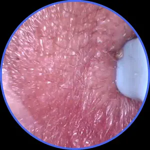review image 5