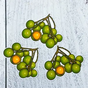 Quenepas Sticker