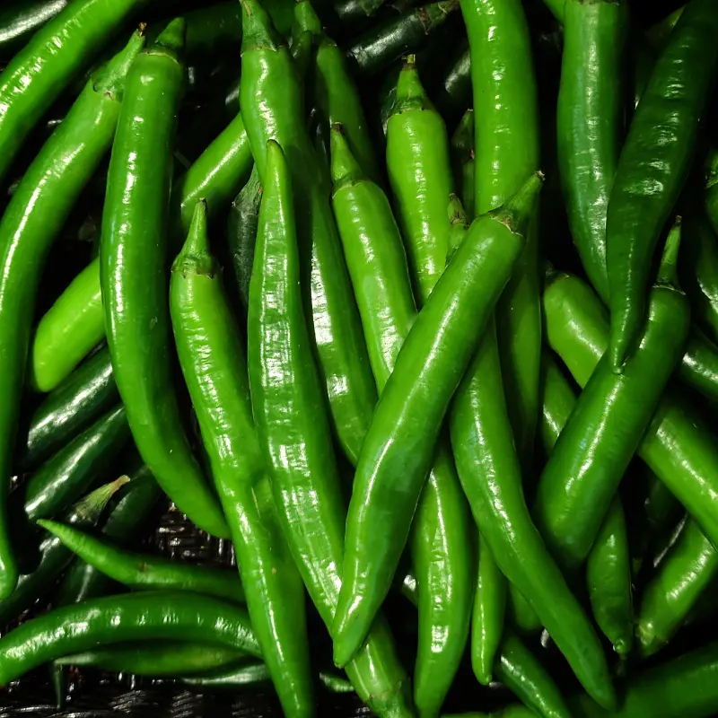 Han Lim Ggwa Ri Put Pepper Seeds (Capsicum annuum) Hybrid Compact hybrid pepper with glossy green fruits and mild heat. Excellent for Korean cooking and pickling