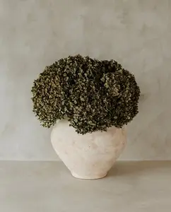 Real Hydrangea Preserved - Medium Olive Green Ombré