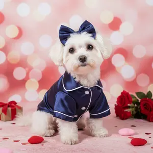 Simulated Silk Pajamas Pet Puppy Clothes Teddy VIP Bichon Bear Pomei Cat Clothing Two-legged Clothes Spring And Summer Clothes Poodle