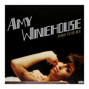 Universal Music Distribution Amy Winehouse:Backto Black-Vinyl