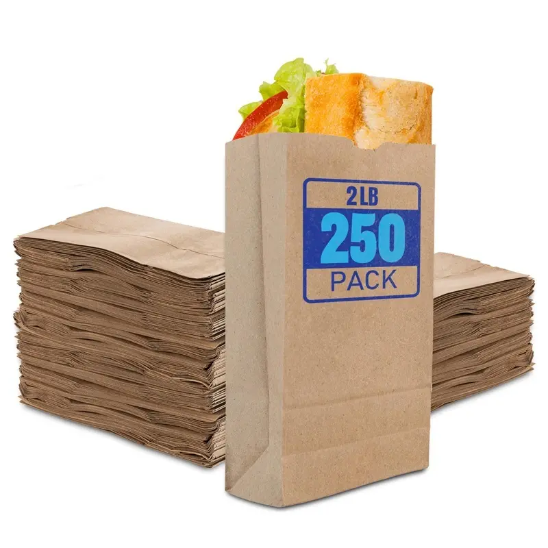 Stock Your Home 2 Lb Kraft Brown Paper Bags (250 Count) - Small Kraft Brown Paper Bags for Packing Lunch - Blank Kraft Brown Paper Bags for Arts & Crafts Projects
