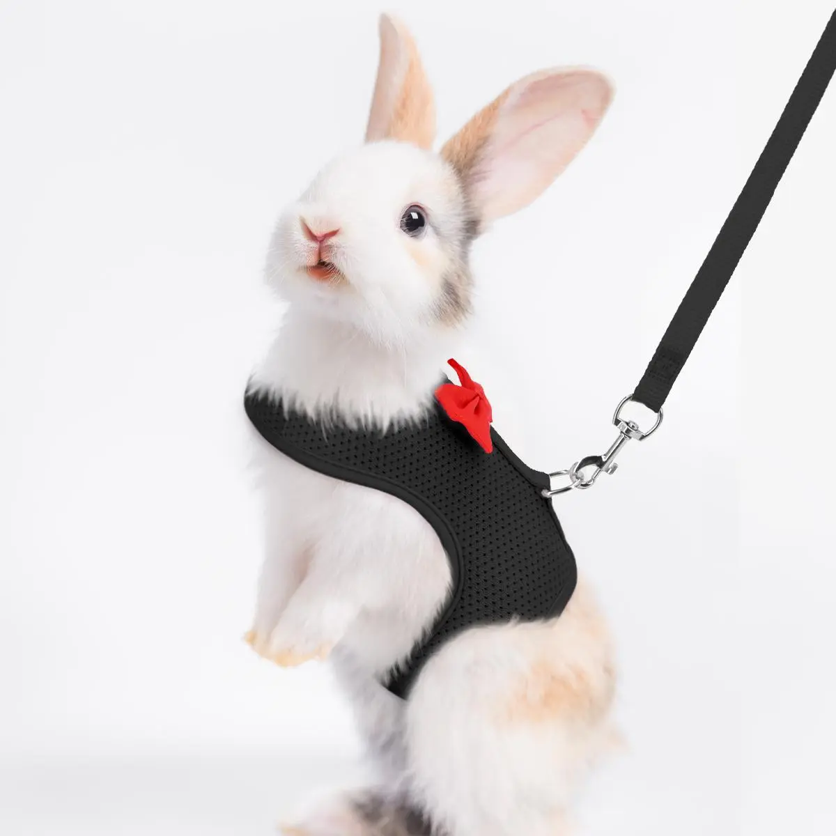 Small Pet Chest Harness & Leash Set - Adjustable Fit Polyester Mesh Bunny Harness for Outdoor Walks, Heart-Shaped Tie Rope for Small Dogs, Cats, Rabbits, Dutch Pigs, Pet Supplies, Harness Set