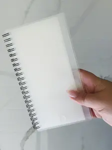 Spiral Budget book - 6 envelopes with tabs and labels! Plastic sleeves