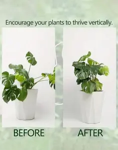 4pcs Plant Supports, Sturdy Climbing Plant Stem Clips, Vine Holders, Indoor Flower Stem Fixer, Plastic Gardening Tools, Clear Color, Suitable for Climbing Plants, Garden, Home, Bedroom, Wedding, Camping, Autumn Decor, Valentine's Day, Easter