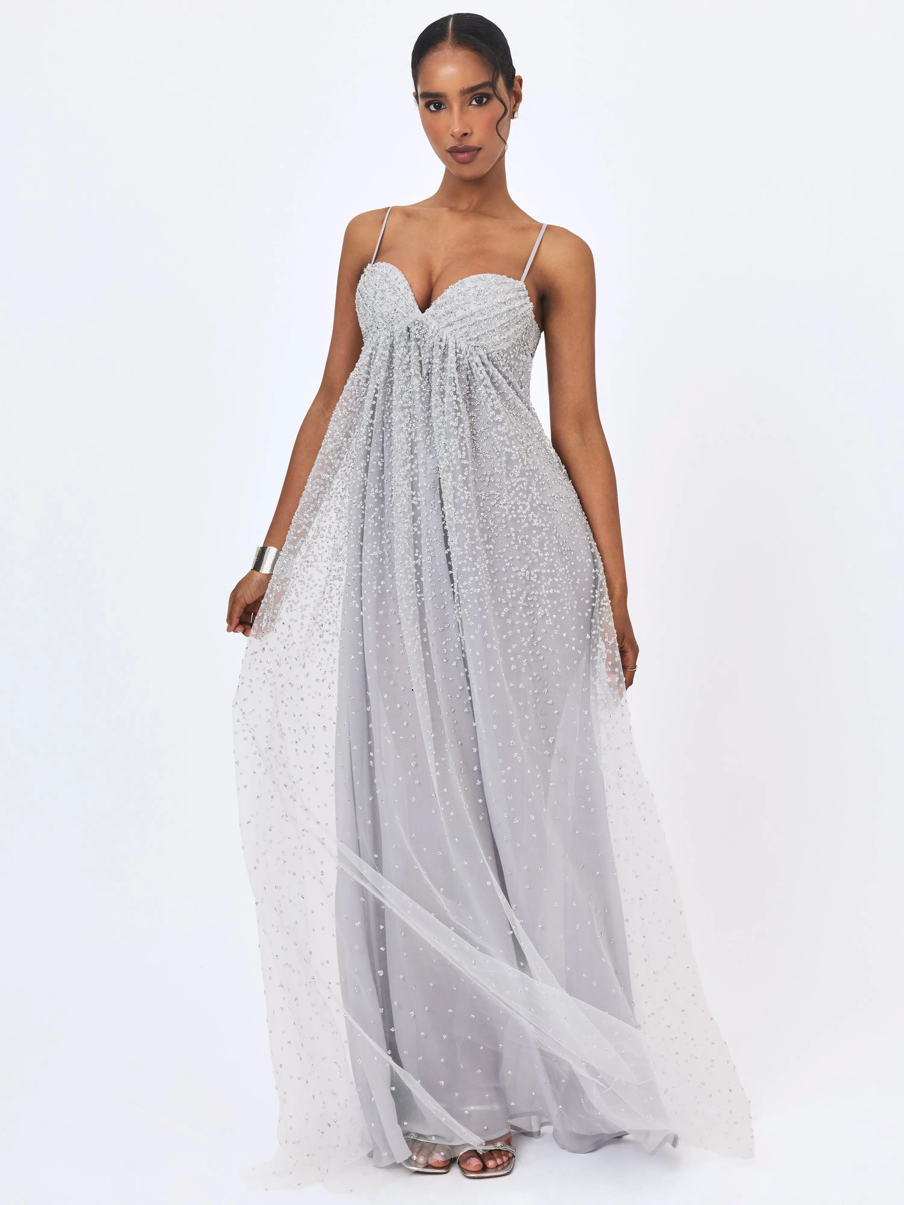 Wallie Silver Rhinestone Embellished Mesh Backless Gown