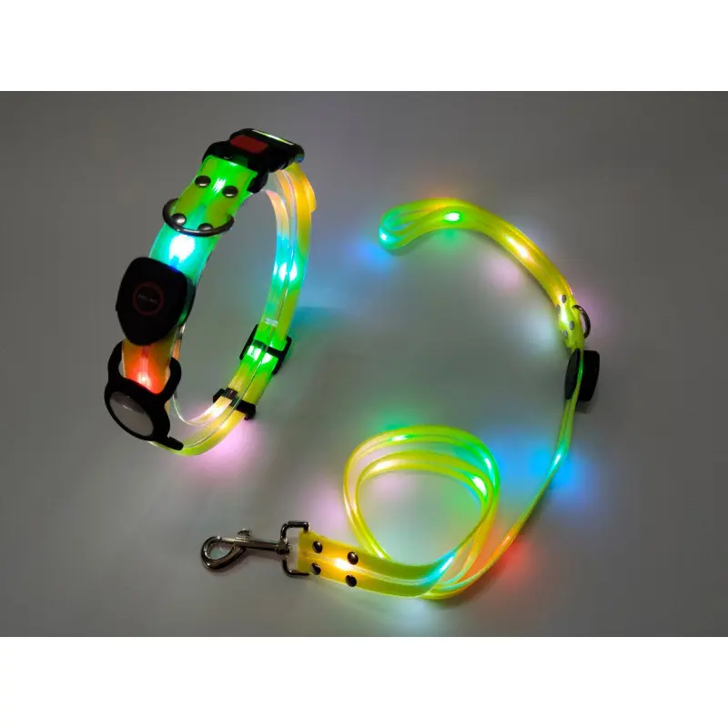 Yellow collar + traction rope