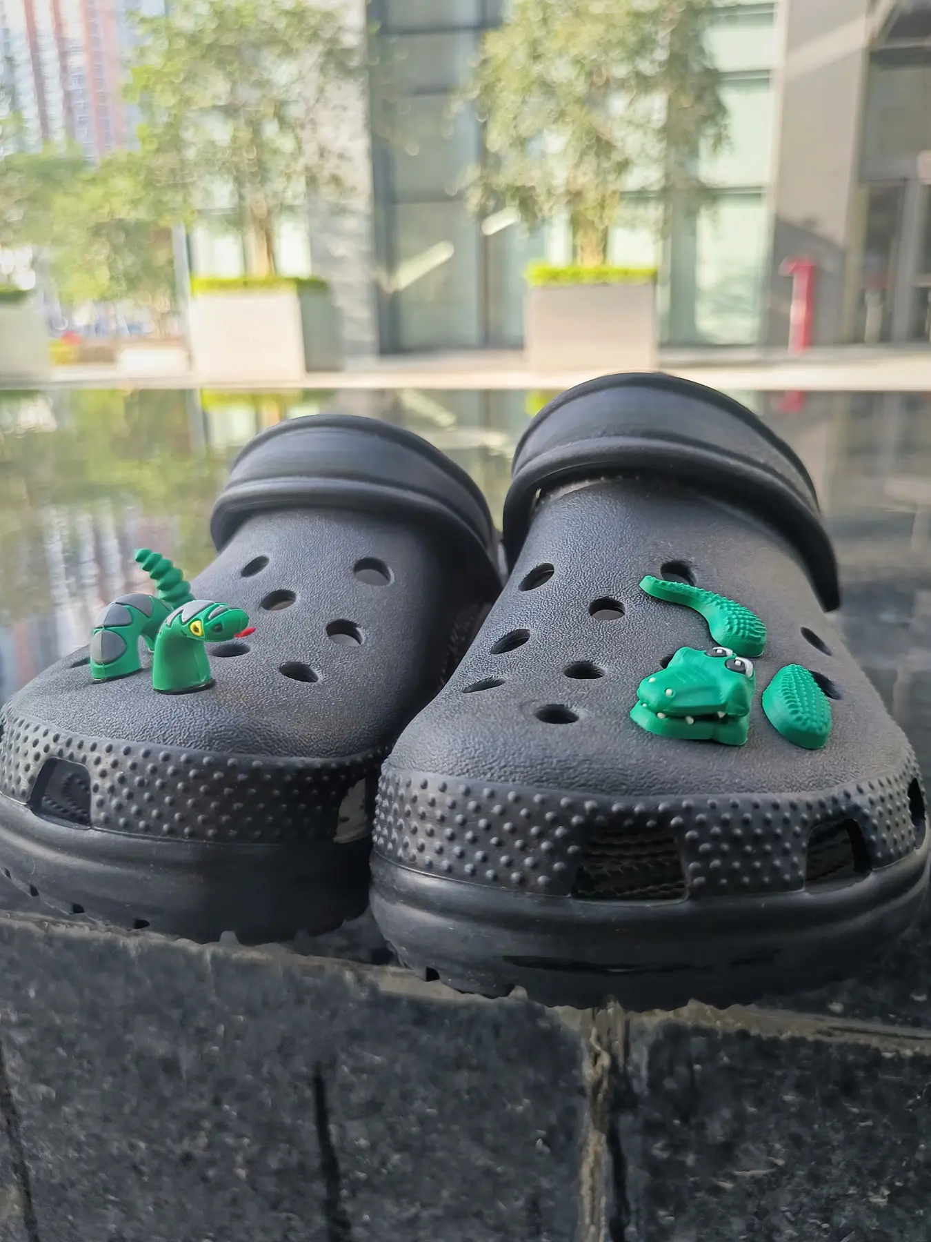 Crocodile and Snake 2-In-1 Hole Decorative Shoe Accessories Set, 2 Pairs Cute Animal Croc Charms Croc Jibbitz Shoe Decorations for Men and Women, Perfect Birthday Gift