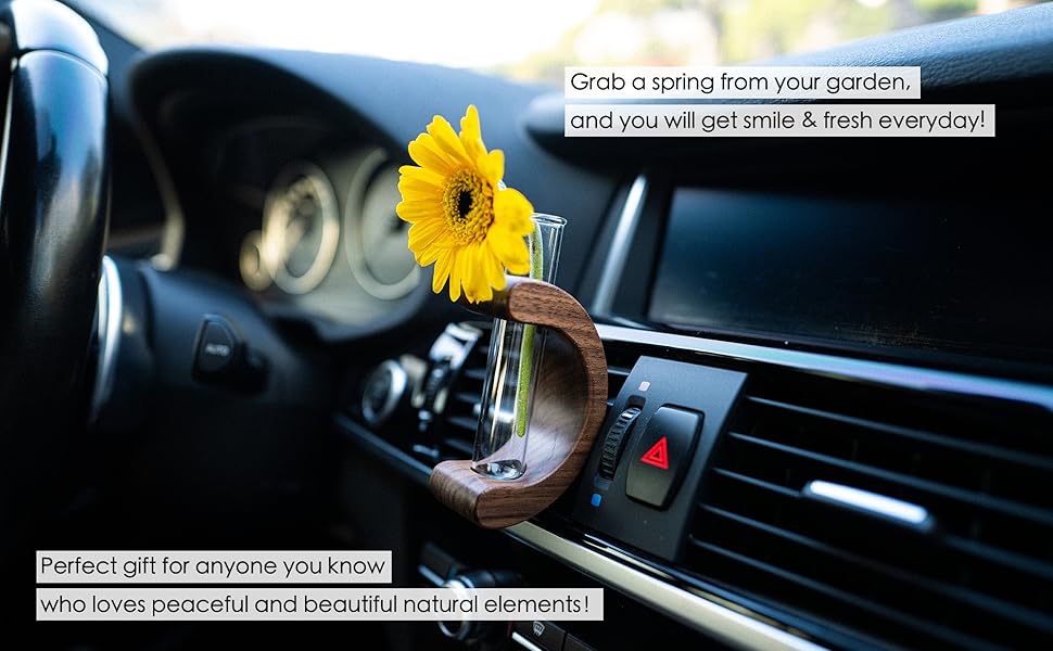 DIBMS Car Dashboard Decorations - Propagation Vase Vent Clip for Fresh/Dried Flowers, Plant Cuttings, Car Interior Aesthetics Decor Accessories - Gift for Plant Lovers, Women & Moms
