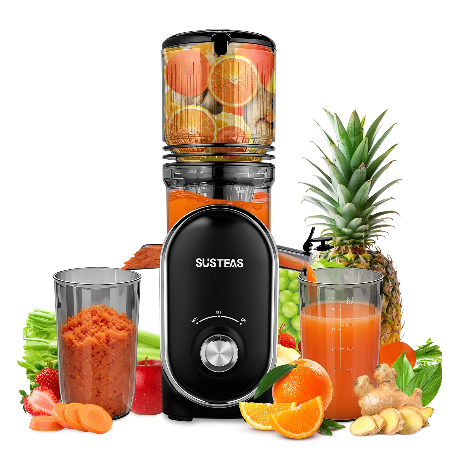SUSTEAS Cold Pressed Juicer for Home Users, 5.3-Inch Large Inlet, Plastic Body, 2 Filters, Easy to Clean, High Juice Yield for Whole Vegetables & Fruits, Household Kitchen Appliance, Two Filters