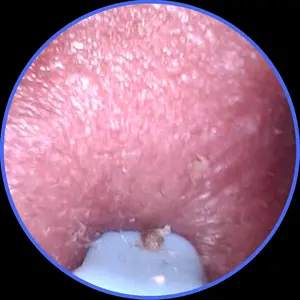 review image 3