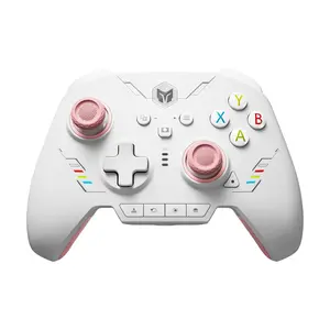 BIGBIG WON Rainbow 2 SE Bluetooth Wireless Controller with Motion Control Aim, Hall Effect Triggers for Switch, PC, Android and iOS - Pink
