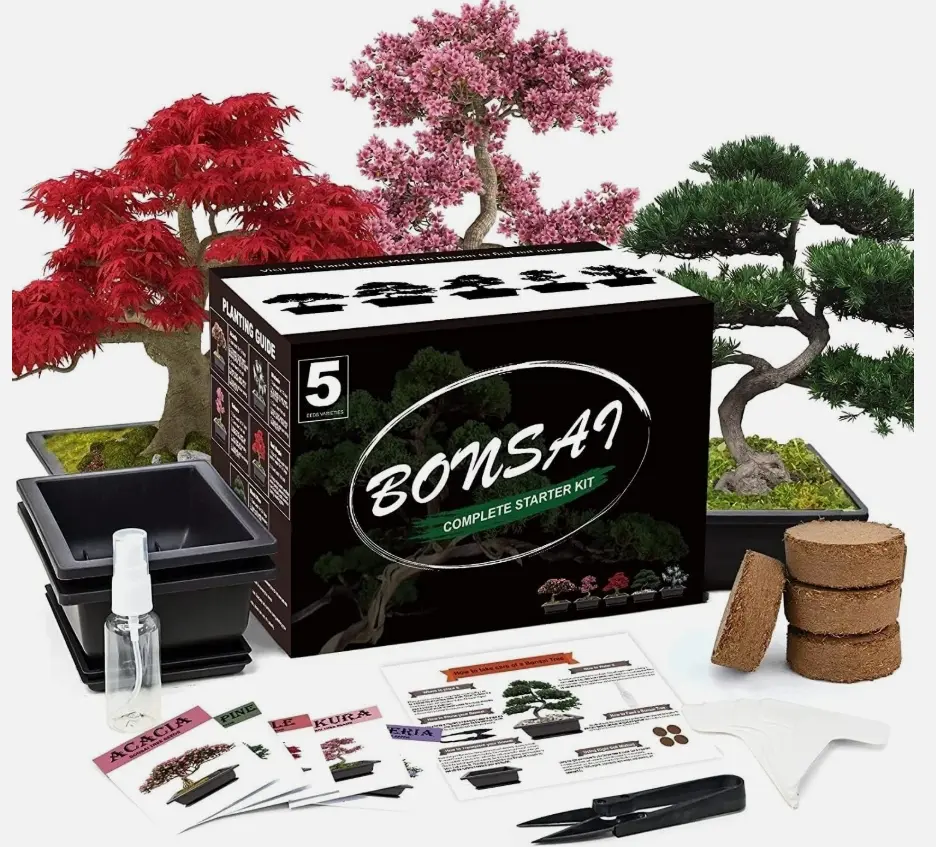 5 Pcs Full Bonsai Tree Growth Tools Kit, Indoor Home Gardening DIY Supplies, Portable Bonsai Care Accessory Set as Ideal Plant Lover Gift