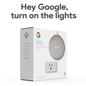 Google Nest Mini + Smart Plug(2nd Gen) Voice Assistant Smart Hub in Chalk