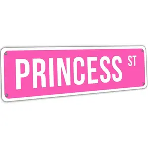 Princess Street Sign Pink Princess Room Decor Pink Princess St Tin Sign Y2k Wall Decor For Girl Bedroom Vintage Girly Wall Art Poster Metal Sign Girls Cave 4x16 Inch Decoration Items Signage