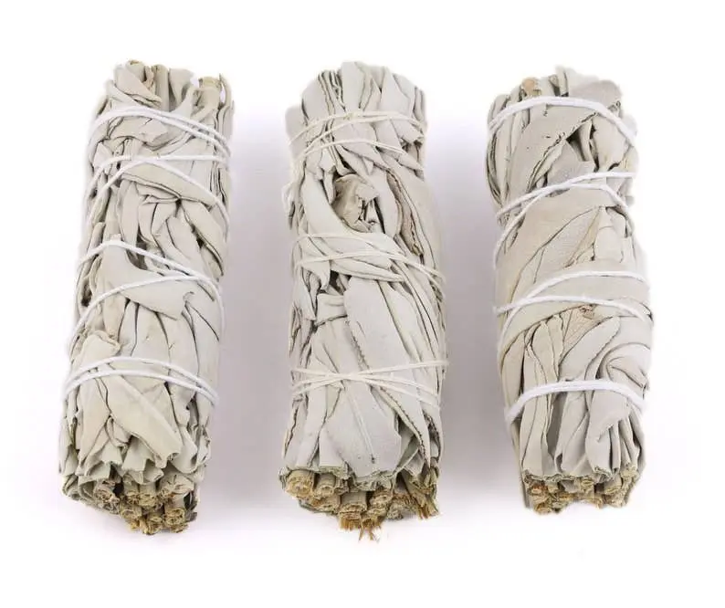 White Sage Smudge Stick | 4" Bundles