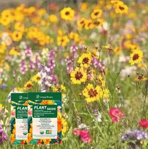 （ZL#FF）Wildflower Seed Mix | Beginner-Friendly Home Gardening | Ideal for Garden, Balcony, or Windowsill | Assorted Flowers