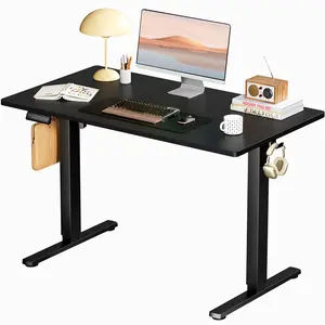 Electric Standing Desk 40 Inch Height Adjustable Desk, 4 Memory Presets，Motorized Sit Stand Desk with Quiet Dual Motor, Modern Ergonomic Computer Desk for Home Office - Black